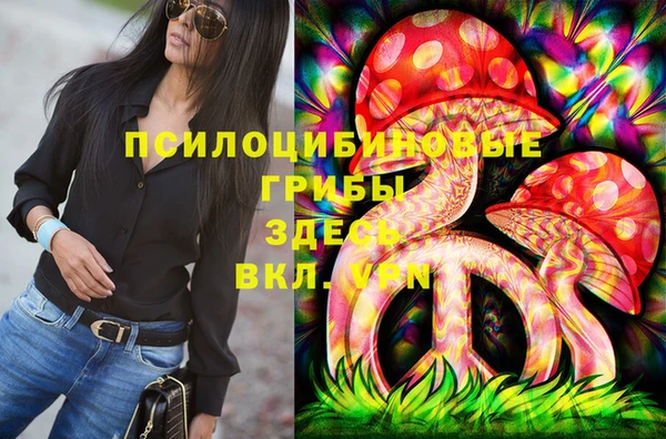 PSILOCYBIN Волоколамск